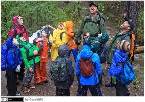 manage stakeholder engagement